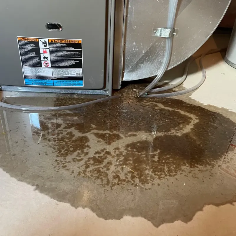 Appliance Leak Cleanup in Ranlo, NC